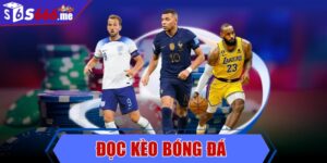 Đọc kèo bóng đá - Hướng dẫn chi tiết từng loại kèo